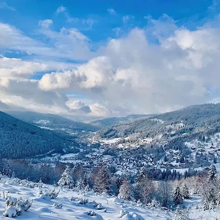 Etoile Des Neiges